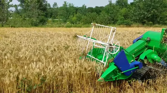 Acme Factory Cosechadora de trigo Cosechadora de arroz con cáscara Cosechadora Cosechadora